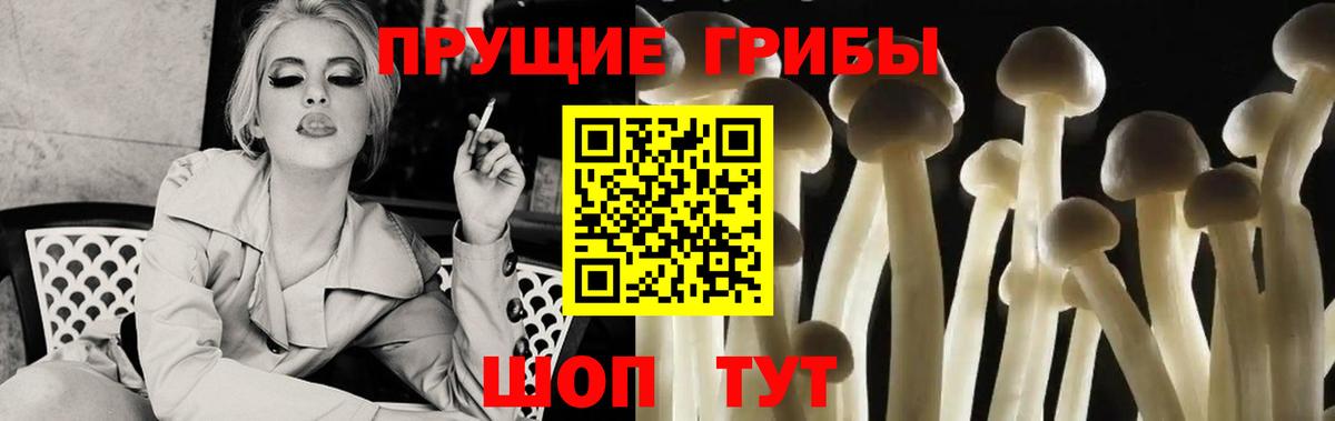 Псилоцибиновые грибы GOLDEN TEACHER Благовещенск